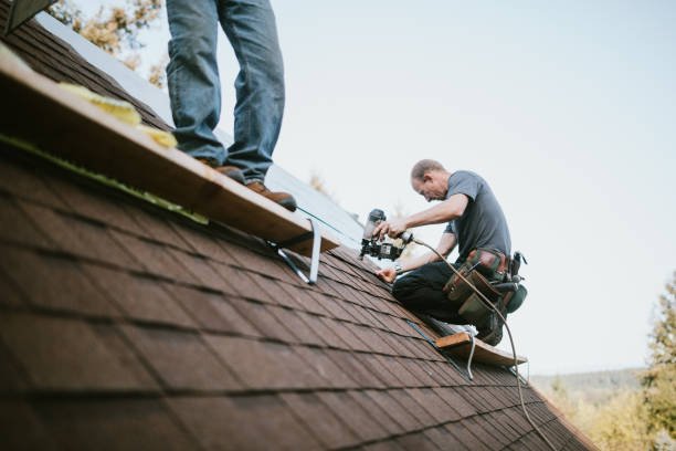 Professional Roofing Contractor in West Wood, UT